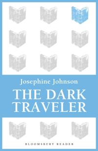 Dark Traveler