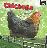 Chickens