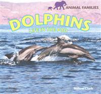 Dolphins: Life in the Pod