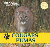 Cougars / Pumas