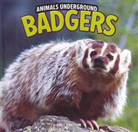 Badgers