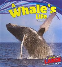 A Whale's Life