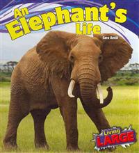 An Elephant's Life