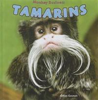 Tamarins