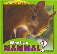 What's a Mammal?