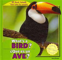 What's a Bird? / ¿Qué Es Un Ave?
