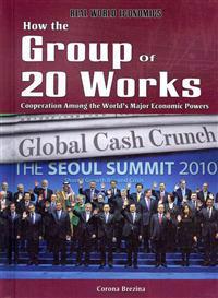 How the Group of 20 Works