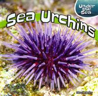 Sea Urchins