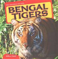 Bengal Tigers