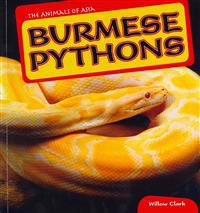Burmese Pythons