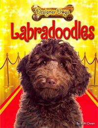 Labradoodles