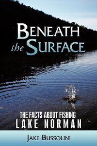 Beneath the Surface