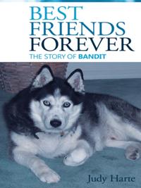 Best Friends Forever