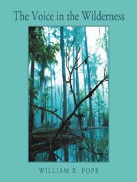 Voice in the Wilderness