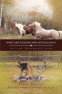 What Are Wisdom and Intelligence
