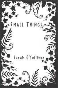 Kirjan kansi "Small Things"