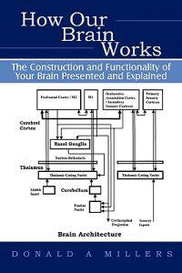 Bokomslag för "How Our Brain Works"