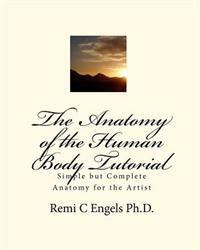 The Anatomy of the Human Body Tutorial