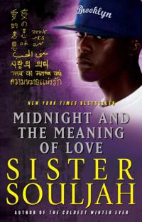 The Midnight Series