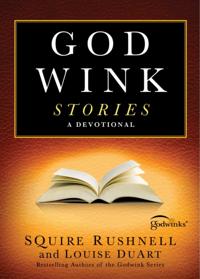 The Godwink Series