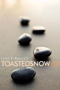Bokomslag för "Toasted Snow"