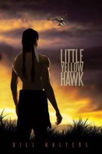 Little Yellow Hawk