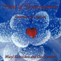 Point of Consciousness