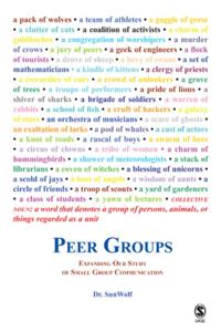 Peer Groups