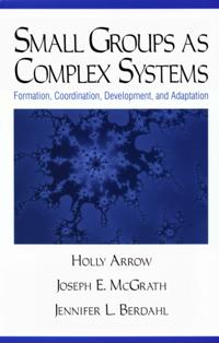 Small Groups as Complex Systems