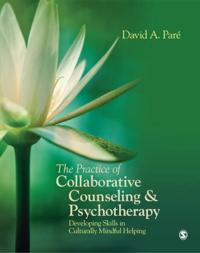 Practice of Collaborative Counseling and Psychotherapy