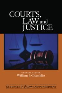 Key Issues in Crime and Punishment