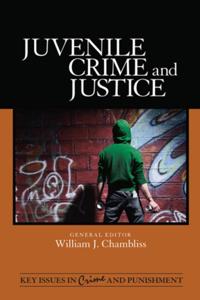 Key Issues in Crime and Punishment