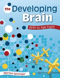 Developing Brain