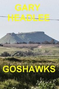 Goshawks