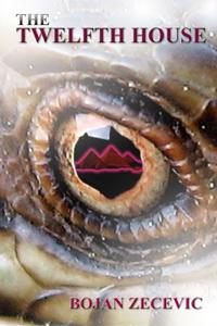 Twelfth House