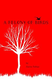Felony of Birds