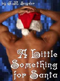 Little Something for Santa