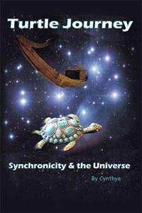 Turtle Journey