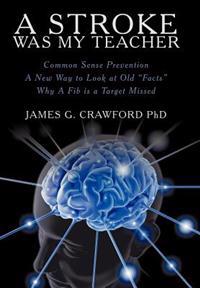 A Stroke Was My Teacher