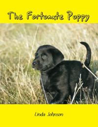 Fortunate Puppy