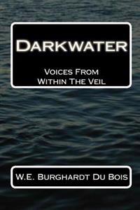 Darkwater: Voices From Within The Veil