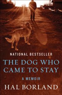 Dog Who Came to Stay