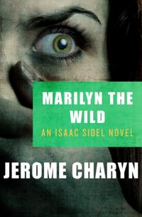 The Isaac Sidel Novels
