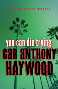 The Aaron Gunner Mysteries