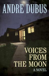 Voices from the Moon