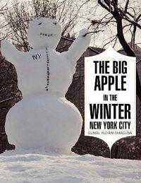 Big Apple In The Winter
