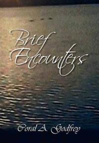 Bokomslag för "Brief Encounters"