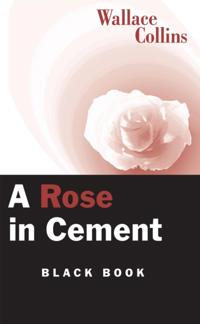 Rose in Cement