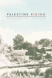 Bokomslag för "Palestine Rising"