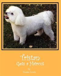 Tristan Gets a Haircut
